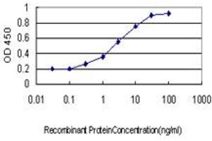 Detection limit for recombinant GST tagged SERPINB3 is approximately 0. (SERPINB3 antibody  (AA 276-390))