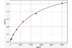 Peroxiredoxin 4 ELISA Kit