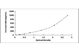 Typical standard curve (VEGF121 ELISA Kit)