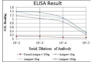 Red: Control Antigen (100 ng), Purple: Antigen (10 ng), Green: Antigen (50 ng), Blue: Antigen (100 ng), (Caspase 8 antibody)