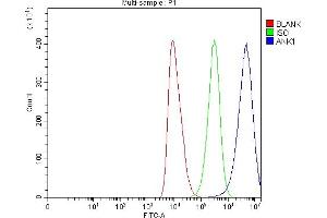 Flow Cytometry analysis of HEL cells using anti-Ankyrin Erythroid/ANK/ANK1 antibody (ABIN7599959). (Erythrocyte Ankyrin antibody  (AA 1300-1844))