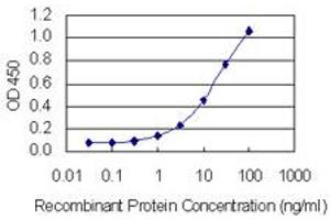 Detection limit for recombinant GST tagged GIPC2 is 0. (GIPC2 antibody  (AA 1-315))