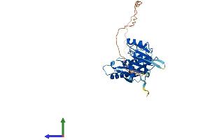 AlphaFold protein structure predicition of Mouse Recombinant Fbll1 Protein, UniprotID Q80WS3