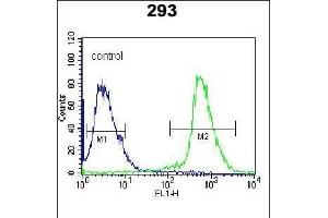 ARL2 Antibody (C-term) (ABIN650704 and ABIN2839229) flow cytometric analysis of 293 cells (right histogram) compared to a negative control cell (left histogram). (ARL2 antibody  (C-Term))