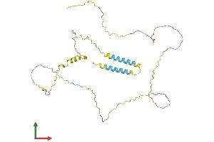 AlphaFold protein structure predicition of Mouse Recombinant Bsnd Protein, UniprotID Q8VIM4