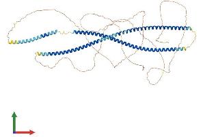 Protein Structure (PS) image for Keratin 2 (KRT2) (AA 1-707) protein (His tag) (ABIN7557087)