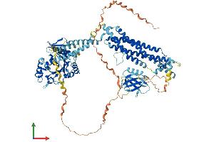 Protein Structure (PS) image for Dynamin 3 (DNM3) (AA 1-869) protein (His tag) (ABIN7553757)