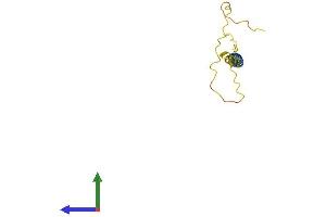 AlphaFold protein structure predicition of Human Recombinant C1orf210 Protein, UniprotID Q8IVY1 (C1ORF210 Protein (AA 1-113) (His tag))