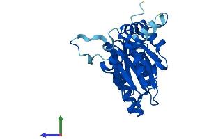 AlphaFold protein structure predicition of Mouse Recombinant Psma7 Protein, UniprotID Q9Z2U0