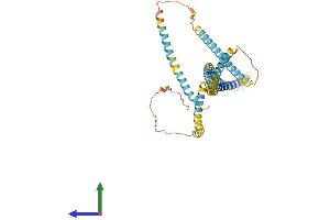 AlphaFold protein structure predicition of Mouse Recombinant Ccdc51 Protein, UniprotID Q3URS9 (CCDC51 Protein (AA 1-406) (His tag))