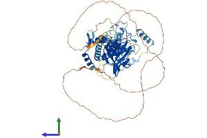 AlphaFold protein structure predicition of Mouse Recombinant Kat7 Protein, UniprotID Q5SVQ0 (MYST2 Protein (AA 1-613) (His tag))