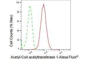 Flow cytometric analysis of Acetyl-CoA acetyltransferase 1 expression in HepG2 cells using Acetyl-CoA acetyltransferase 1 antibody (ABIN7797439), 1:2,000). (Recombinant ACAT1 antibody)