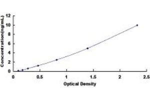 Typical standard curve (NTSR1 ELISA Kit)