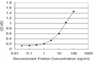 Detection limit for recombinant GST tagged MS4A1 is approximately 1ng/ml as a capture antibody. (CD20 antibody  (AA 1-297))