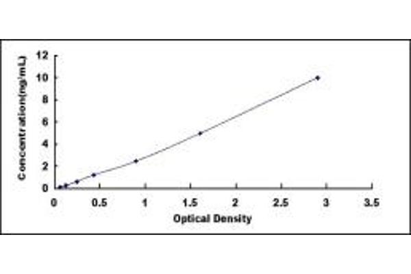 S100A16 ELISA Kit