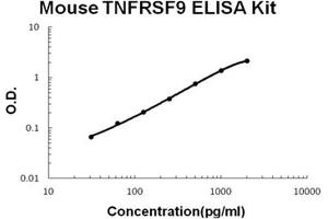 Mouse TNFRSF9/4-1BB PicoKine ELISA Kit standard curve (CD137 ELISA Kit)