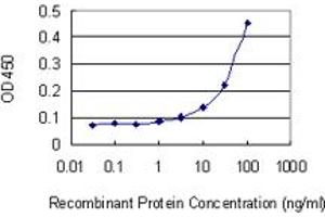 Detection limit for recombinant GST tagged RABEP1 is 3 ng/ml as a capture antibody. (RABEP1 antibody  (AA 765-862))