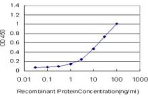Detection limit for recombinant GST tagged GEMIN7 is approximately 0. (GEMIN7 antibody  (AA 1-131))