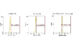 Flow Cytometry (FACS) image for anti-Connective Tissue Growth Factor (CTGF) (AA 27-349) antibody (APC) (ABIN5565322) (CTGF antibody  (AA 27-349) (APC))