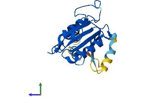 Protein Structure (PS) image for SAR1 Homolog B (SAR1B) (AA 1-198) protein (His tag) (ABIN7545981)