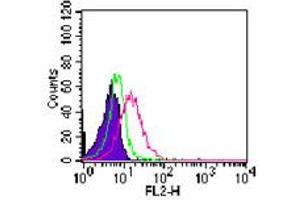Image no. 3 for anti-RAR-Related Orphan Receptor C (RORC) (AA 1-50) antibody (ABIN959913) (RORC antibody  (AA 1-50))