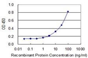 Detection limit for recombinant GST tagged ZNF155 is 0. (ZNF155 antibody  (AA 422-520))