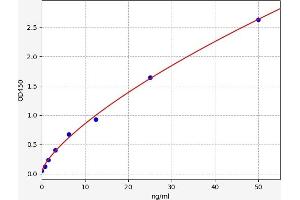 Typical standard curve (COQ10A ELISA Kit)