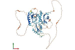AlphaFold protein structure predicition of Mouse Recombinant Hps4 Protein, UniprotID Q99KG7 (HPS4 Protein (AA 1-671) (His tag))