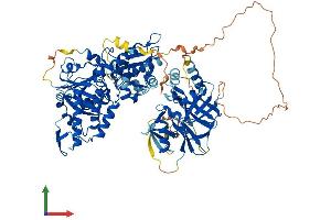 AlphaFold protein structure predicition of Mouse Recombinant Mocos Protein, UniprotID Q14CH1