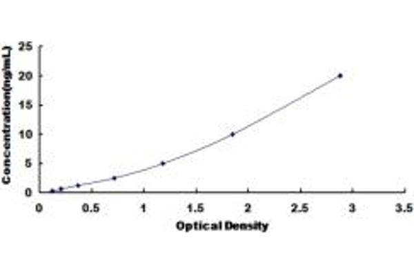 GSAP ELISA Kit