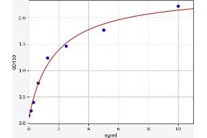 GSTO1 ELISA Kit