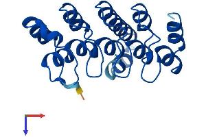 Protein Structure (PS) image for Ankyrin Repeat Domain 22 (ANKRD22) (AA 1-191) protein (His tag) (ABIN7552157)