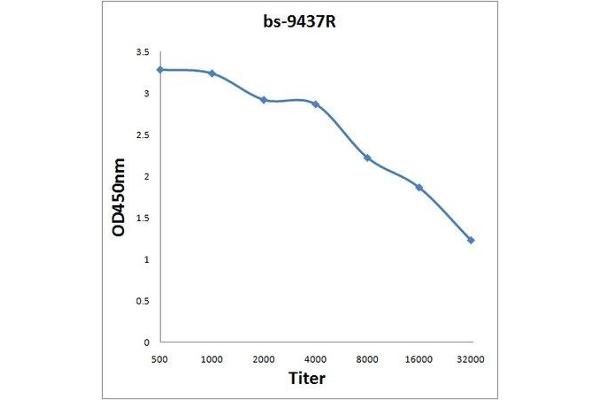 FAR1 antibody