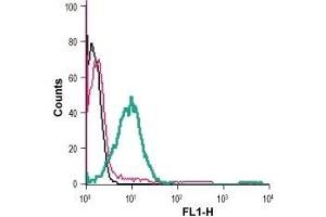 Flow Cytometry (FACS) image for anti-Adrenergic, beta-2-, Receptor, Surface (ADRB2) (AA 15-30), (Extracellular) antibody (FITC) (ABIN7042905)