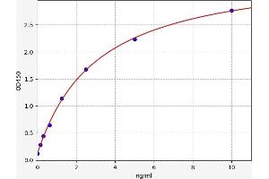 DRD4 ELISA Kit