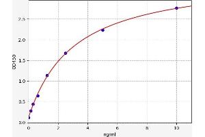 Typical standard curve (DRD4 ELISA Kit)
