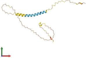 AlphaFold protein structure predicition of Human Recombinant GSN-AS1 Protein, UniprotID Q9NRJ2 (GSN-AS1 Protein (AA 1-163) (His tag))