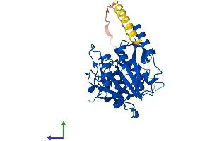 AlphaFold protein structure predicition of Mouse Recombinant B3galt1 Protein, UniprotID O54904 (B3GALT1 Protein (AA 1-326) (His tag))