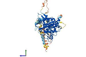 AlphaFold protein structure predicition of Mouse Recombinant Atg4c Protein, UniprotID Q811C2 (ATG4C Protein (AA 1-458) (His tag))