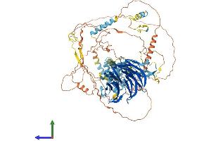 AlphaFold protein structure predicition of Human Recombinant FBXW10 Protein, UniprotID Q5XX13 (FBXW10 Protein (AA 1-1052) (His tag))