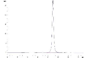 The purity of Canine CD28 is greater than 95 % as determined by SEC-HPLC. (CD28 Protein (CD28) (AA 18-153) (His tag))