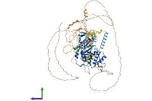 AlphaFold protein structure predicition of Mouse Recombinant Epb41 Protein, UniprotID P48193 (EPB41 Protein (AA 1-858) (His tag))