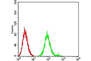 Flow Cytometry (FACS) image for anti-Cholinergic Receptor, Nicotinic, beta 4 (Neuronal) (CHRNB4) (AA 22-236) antibody (ABIN5611360)