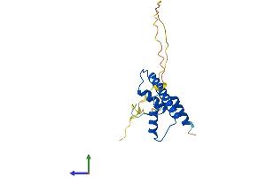 AlphaFold protein structure predicition of Human Recombinant TAF12 Protein, UniprotID Q16514 (TAF12 Protein (AA 1-161) (His tag))