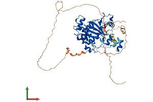 AlphaFold protein structure predicition of Mouse Recombinant Kdm4d Protein, UniprotID Q3U2K5
