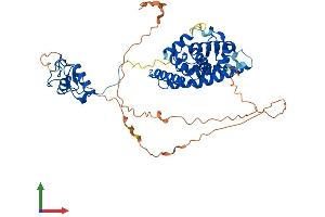 AlphaFold protein structure predicition of Human Recombinant HNF4A Protein, UniprotID P41235 (HNF4A Protein (AA 1-474) (His tag))