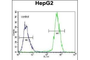 PRRT1 Antibody (Center) (ABIN655188 and ABIN2844804) flow cytometric analysis of HepG2 cells (right histogram) compared to a negative control cell (left histogram).