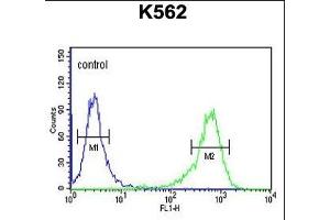 ATP2A1 Antibody (C-term) (ABIN1881089 and ABIN2840069) flow cytometric analysis of K562 cells (right histogram) compared to a negative control cell (left histogram). (ATP2A1/SERCA1 antibody  (C-Term))