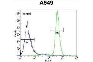 WFDC12 Antibody (C-term) (AP54561PU-N ) flow cytometric analysis of A549 cells (right histogram) compared to a negative control cell (left histogram). (WFDC12 antibody  (C-Term))