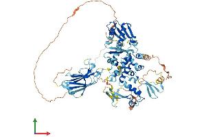 AlphaFold protein structure predicition of Human Recombinant SMURF1 Protein, UniprotID Q9HCE7 (SMURF1 Protein (AA 1-757) (His tag))